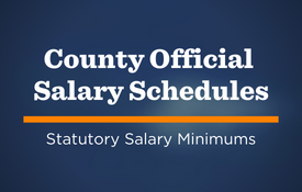 Salary Schedules